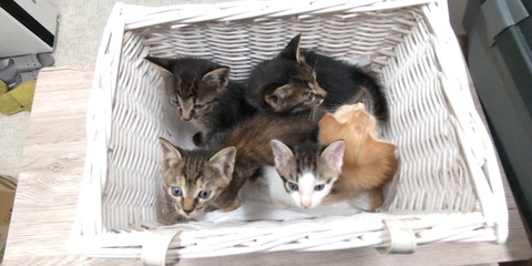STORYPIC_00014693_BURST210810175617