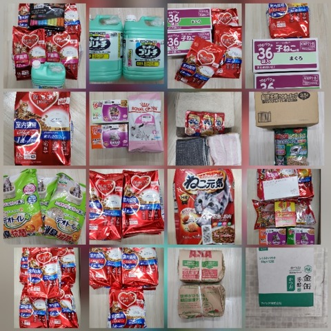 CollageMaker_20220207_145443225