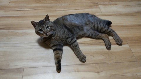 CENTER_0002_BURST20220514215544633