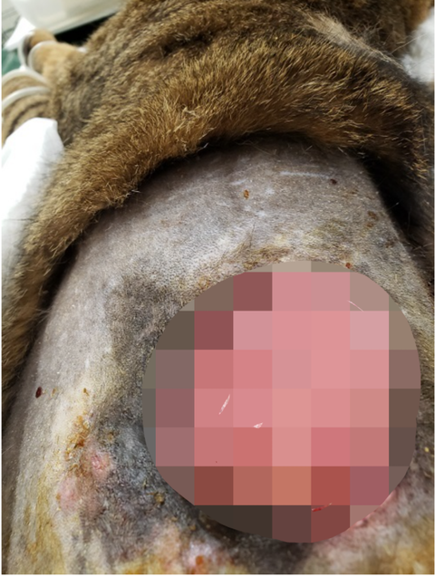 Point Blur_20220316_151132