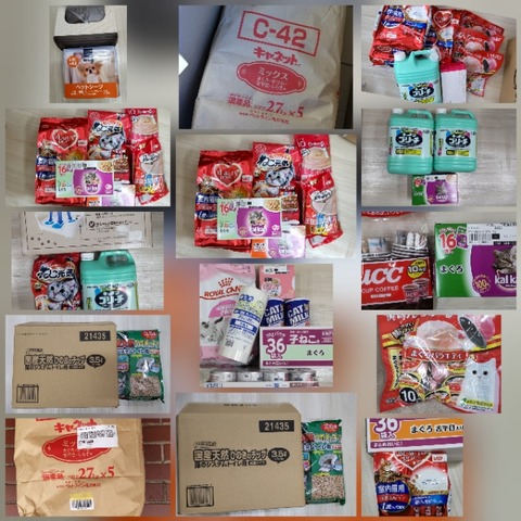 CollageMaker_20220207_145018283