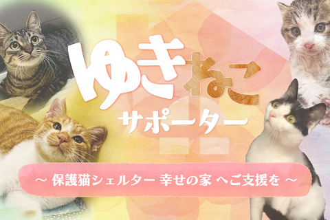 ゆきねこサポーター1 のコピー
