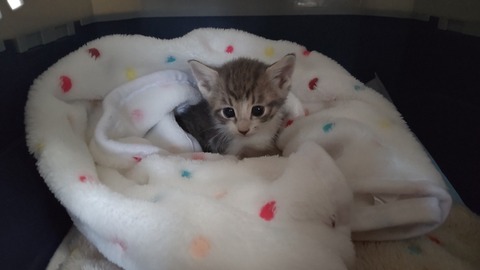 CENTER_0001_BURST20220513154916989_COVER