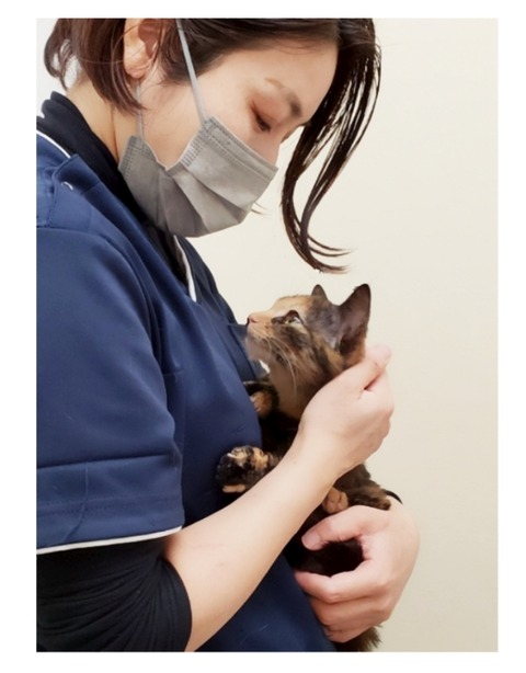 22-02-06-12-17-38-924_deco