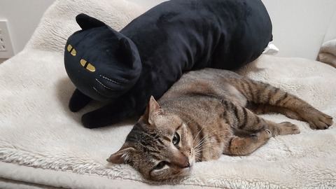 HORIZON_0001_BURST20220610125354001_COVER