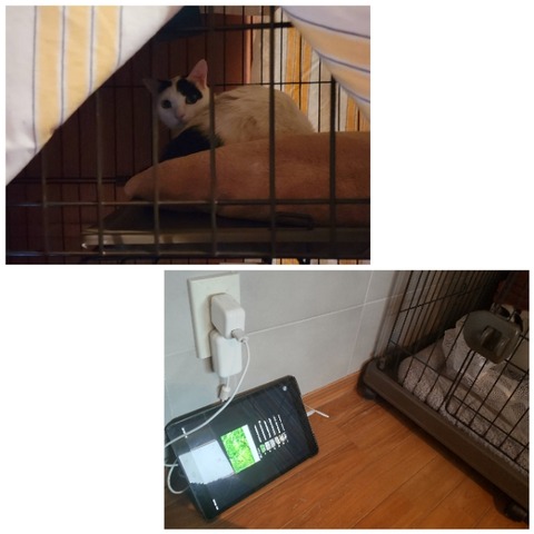 CollageMaker_20220512_153410601