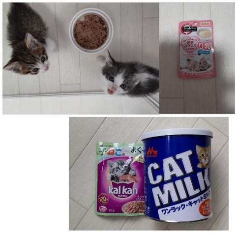 CollageMaker_20220518_234322527