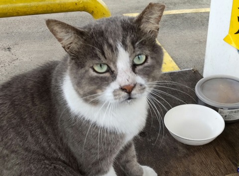 21-09-06-08-48-43-668_deco