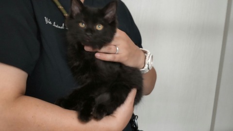 CENTER_0002_BURST20220809123736682