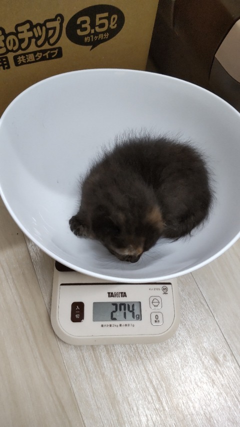 CENTER_0001_BURST20220706134304221_COVER