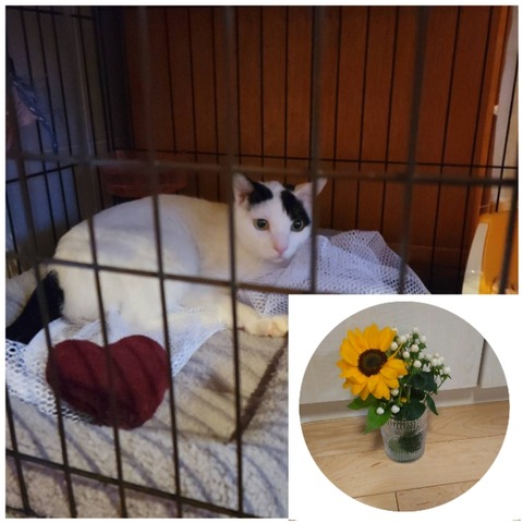 CollageMaker_20220518_013542589