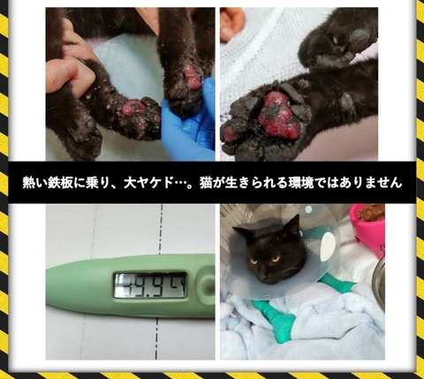 22-01-28-14-24-57-704_deco