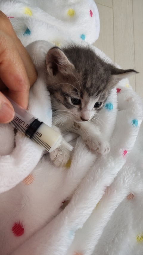 CENTER_0001_BURST20220513154435370_COVER