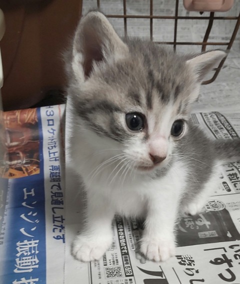 22-05-18-02-42-41-101_deco