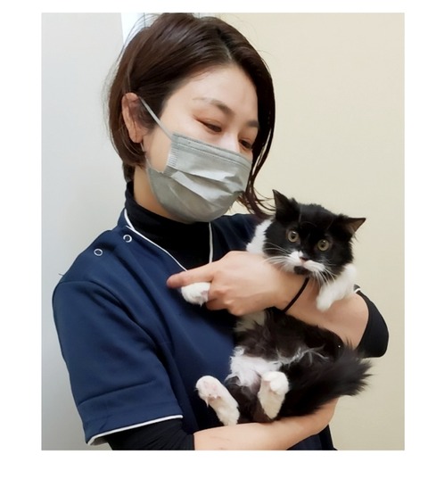 22-02-06-12-14-19-450_deco