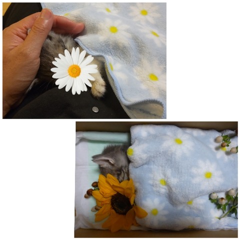 CollageMaker_20220518_023853163