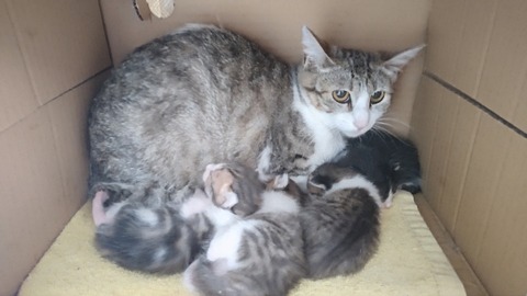 CENTER_0001_BURST20220530131215318_COVER