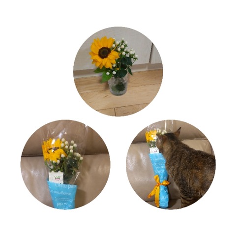 CollageMaker_20220511_231306247