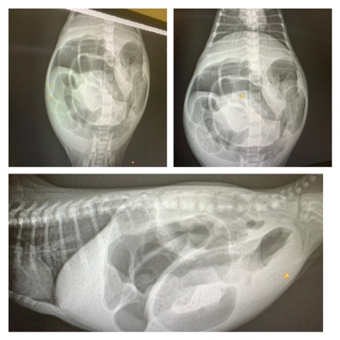 GridArt_20220705_005215626