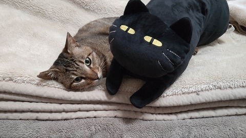 CENTER_0001_BURST20220610125407321_COVER