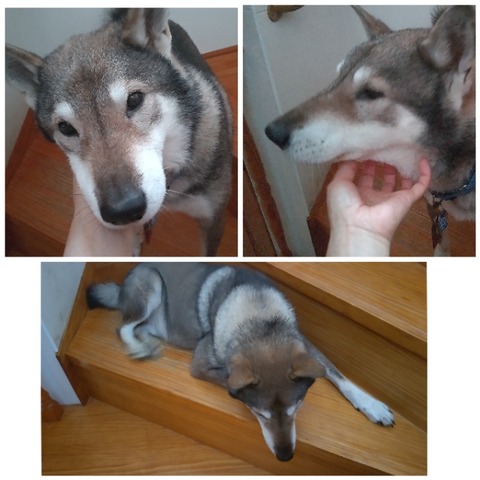 CollageMaker_20220511_231512190