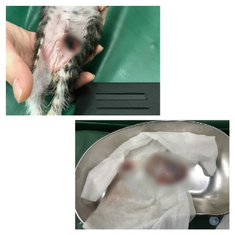 GridArt_20220704_135331941