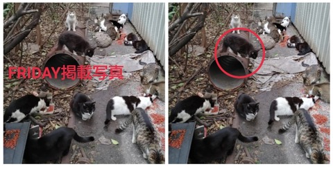 22-03-28-01-54-33-425_deco