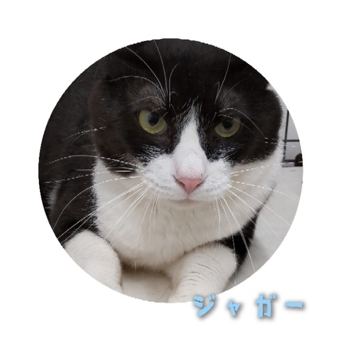 GridArt_20220701_211254144