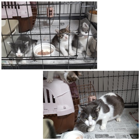 CollageMaker_20220518_014218753