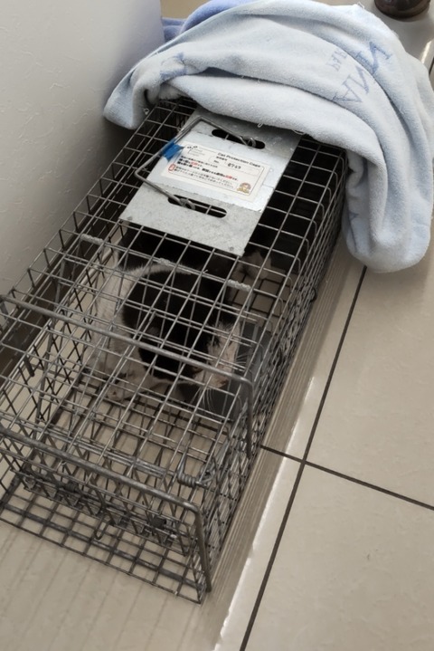 22-04-08-23-23-59-018_deco