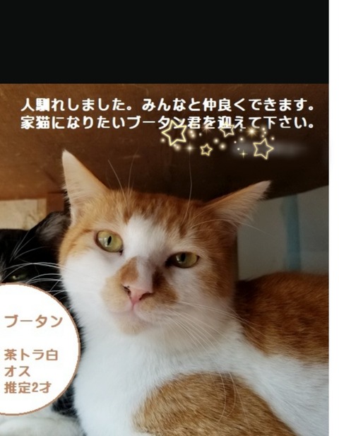 22-03-14-13-12-42-841_deco