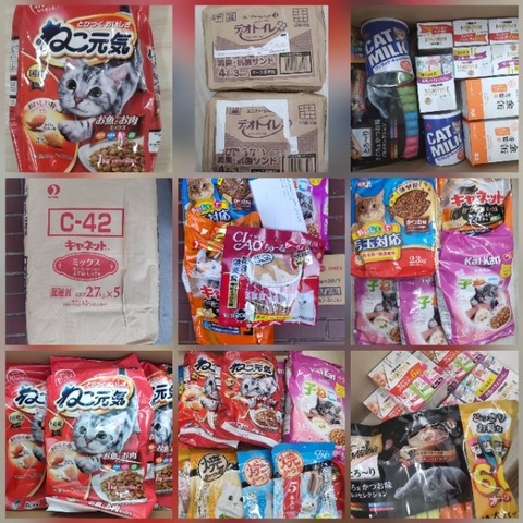 CollageMaker_20220207_150530057