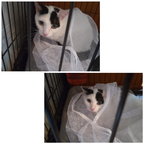 CollageMaker_20220511_231553038