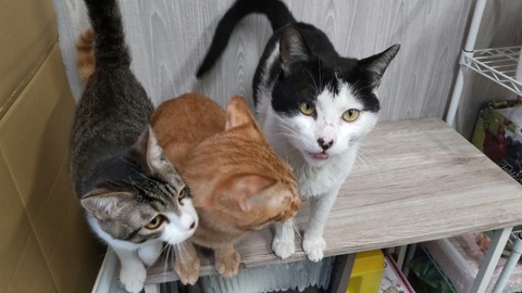 HORIZON_0002_BURST20220407101348207