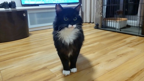 HORIZON_0002_BURST20220326030829154