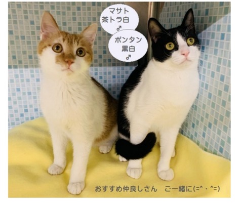 22-02-18-12-29-40-783_deco