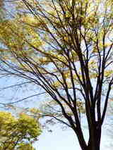 b3f956c4.jpg