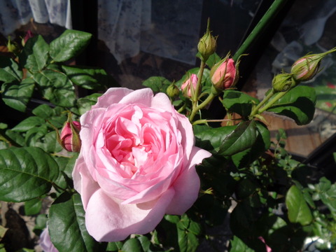 DSC00845