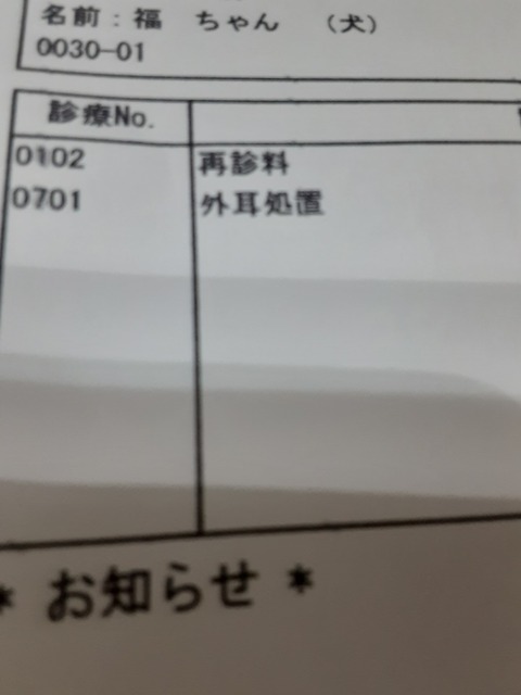 20230225_175756