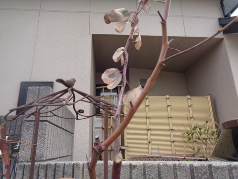 DSC01935