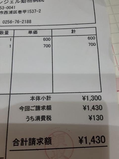 20230225_175740