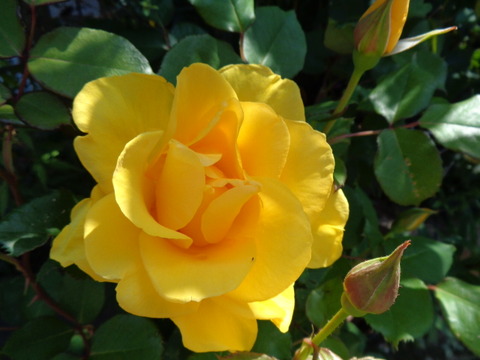 DSC00840