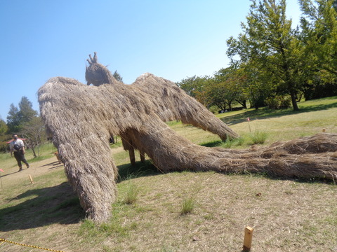 DSC02477