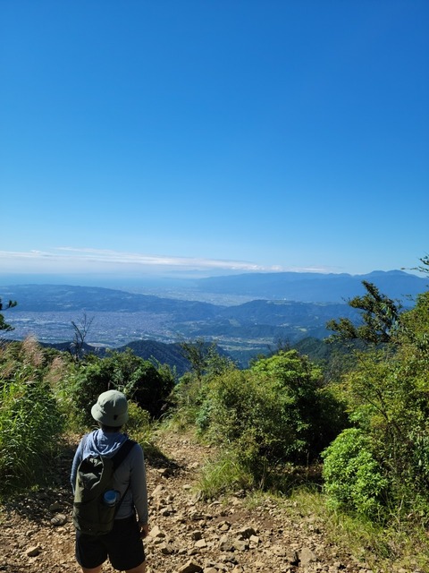 line_331941350920143