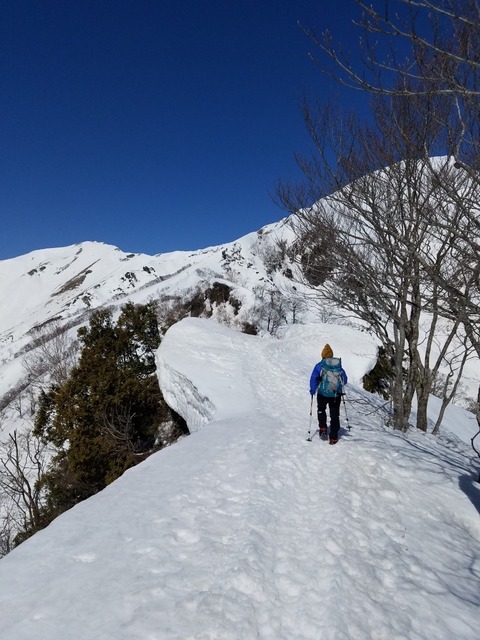 line_1153981089724475
