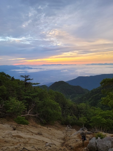 line_646631022825