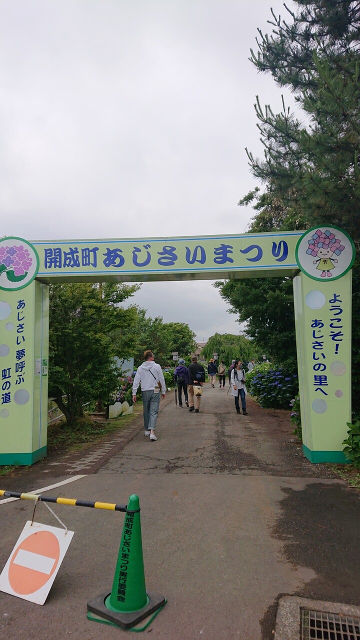 開成町 あじさいまつり に行きました 続たまプラーザ日記