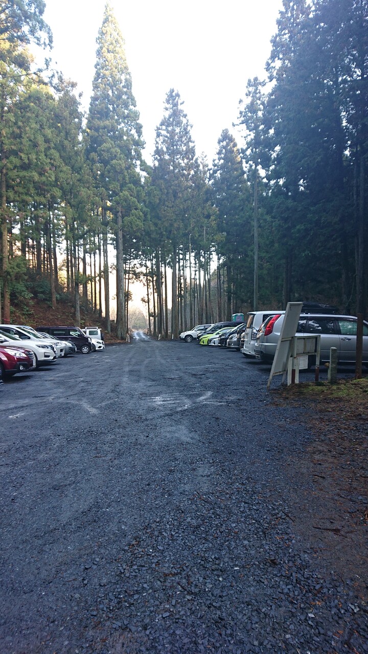 焼森山 鶏足山 登山とミツマタ 続たまプラーザ日記 焼森山 鶏足山 登山とミツマタ 続たまプラーザ日記