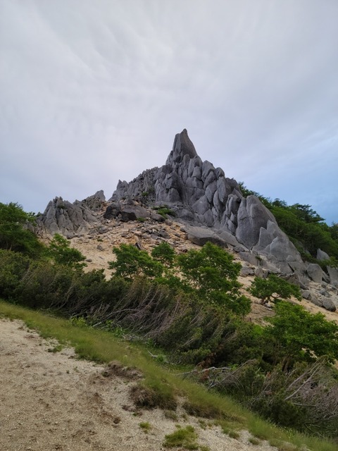 line_533065303811857