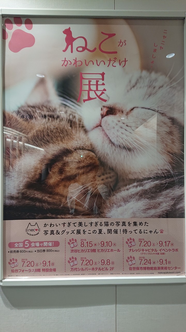 ねこがかわいいだけ展 に行きました 続たまプラーザ日記